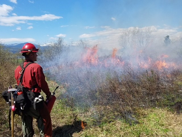 incarcerated individual on a fire crew