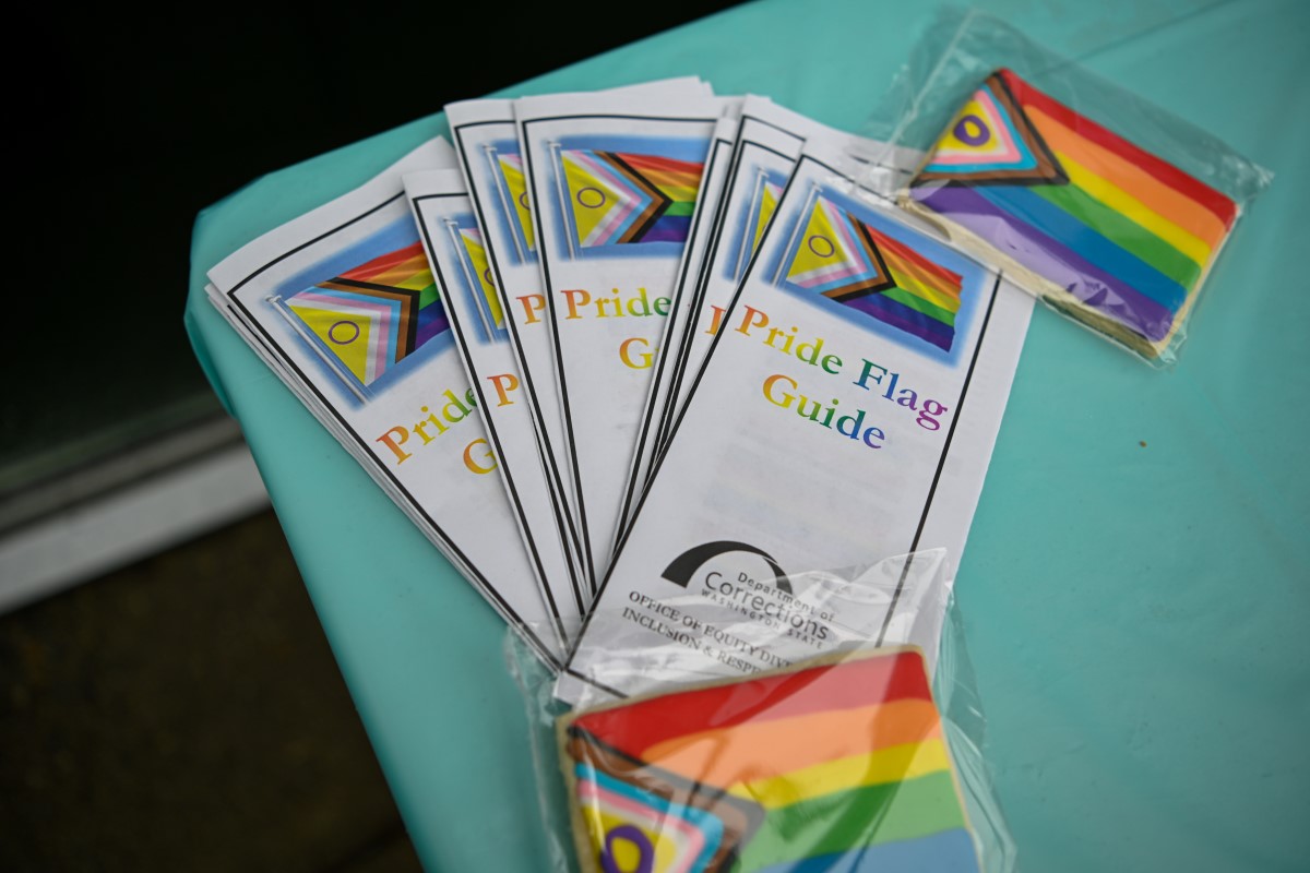 Pamphlets fanned out on a table with cookies nearby